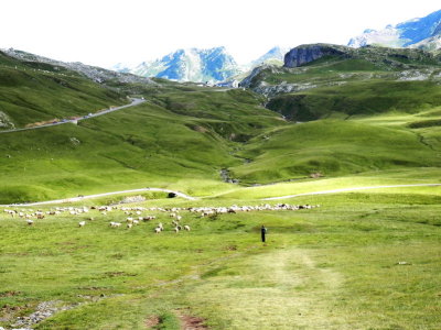 Chemin du Refuge de Pombie Vallée d'Ossau 21 juillet 2014
