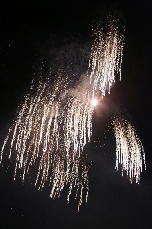 220_Q20C7262.JPG
