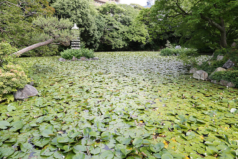 037_Kyoto_Q20C3989.JPG