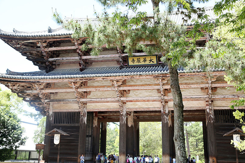 177_Kyoto_Q20C4493.JPG