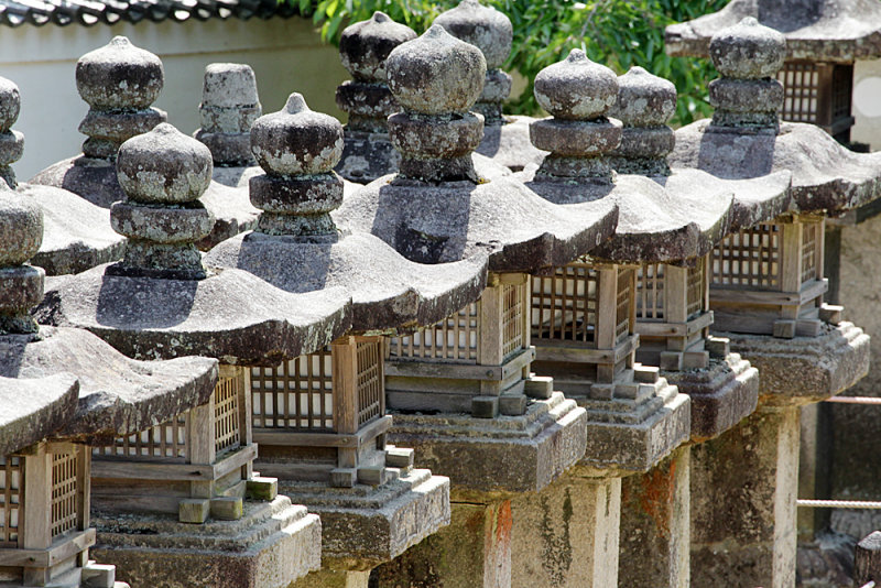 227_Kyoto_F66F5524.JPG