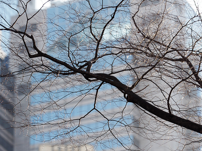 023_P3051775.JPG