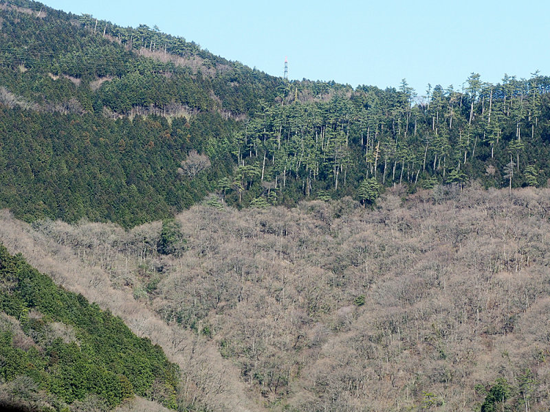 192_P3112787.JPG