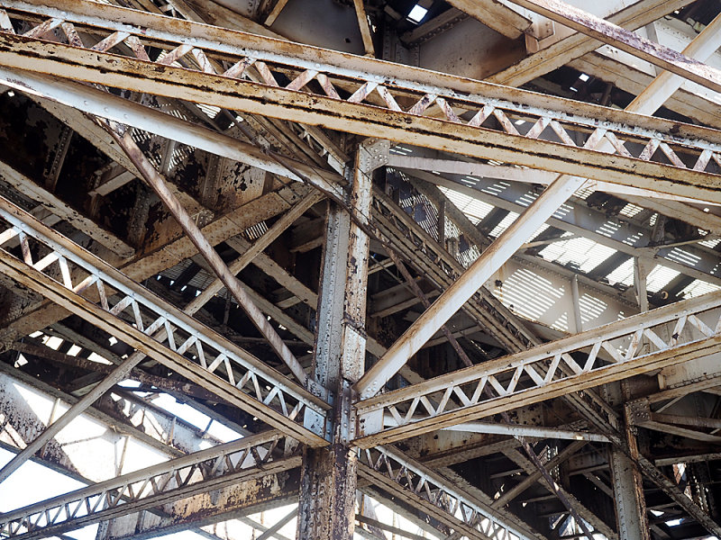 045_A1010296.JPG