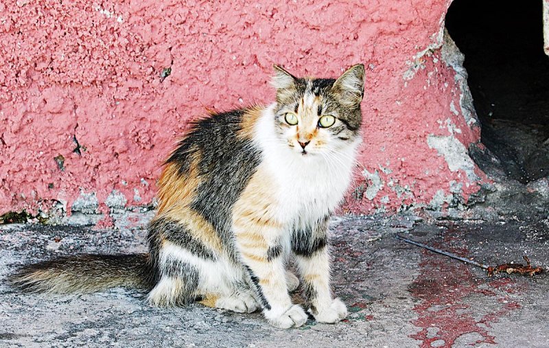 Cuba_3B2A1375_P.jpg
