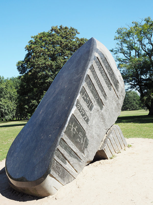 216_OM521417.JPG
