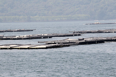 048_Hiroshima_F66F5710.JPG
