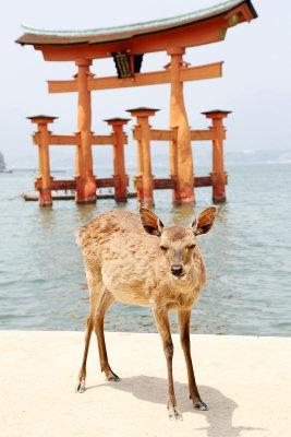 064_Hiroshima_Q20C5082.JPG