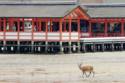 080_Hiroshima_F66F5843.JPG