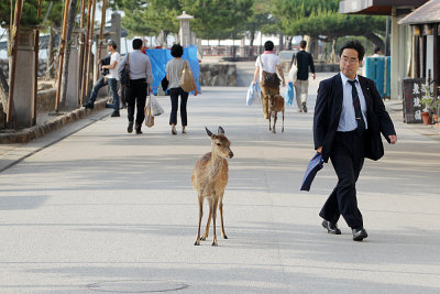 112_Hiroshima_F66F5969.JPG