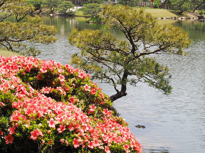 124_Hiroshima_P5310828.JPG