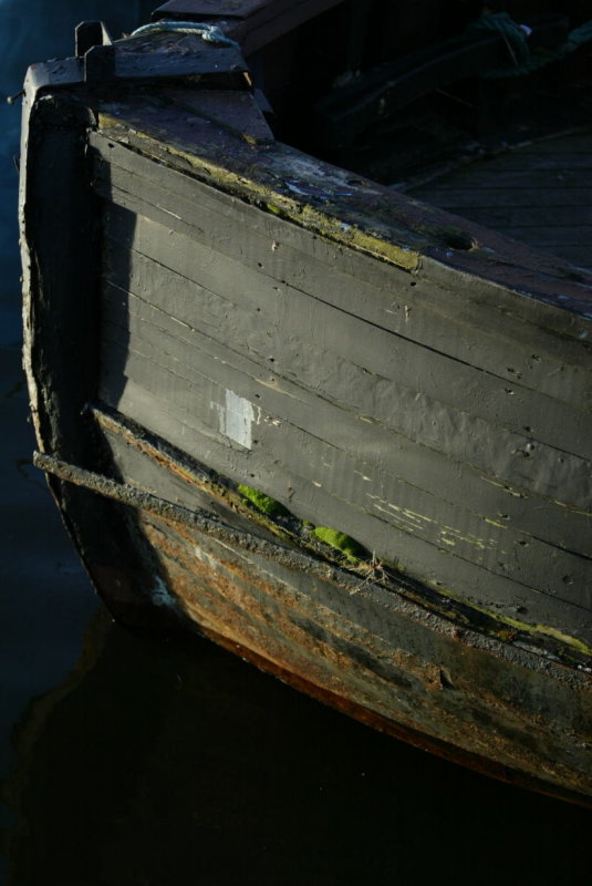 gone_fishing2013_013.JPG