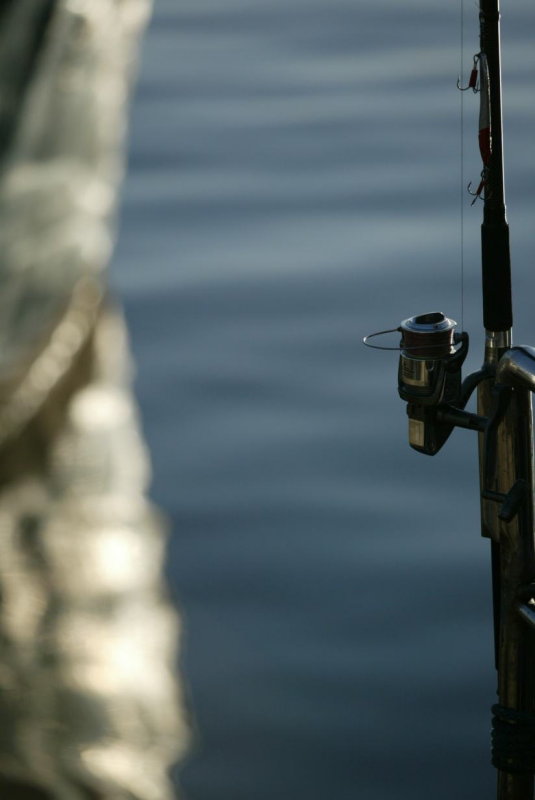 gone_fishing2013_049.JPG