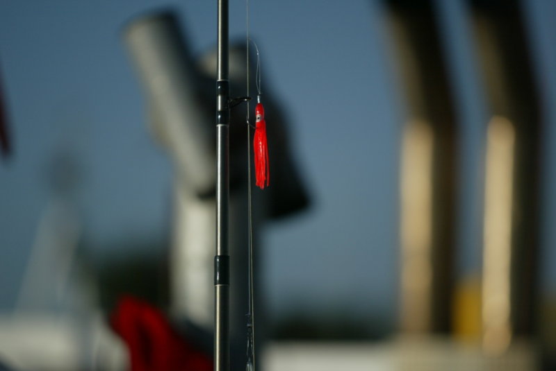 gone_fishing2013_055.JPG