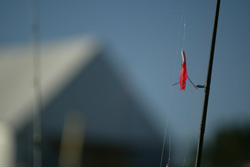 gone_fishing2013_101.JPG
