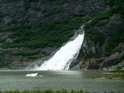 P1580952.jpg
