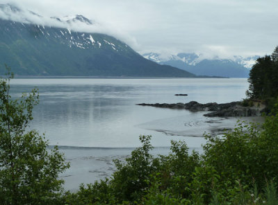 P1670334.jpg