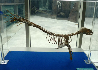 P1660200.jpg