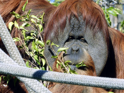 San Diego Zoo