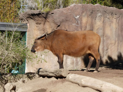 P1000626.jpg