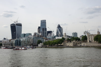 The Tower and some of its new neighbours