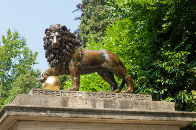 DSC02586.jpg