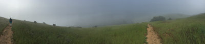 Foggy panorama