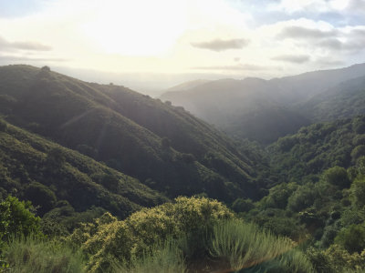 Hidden Villa's valley