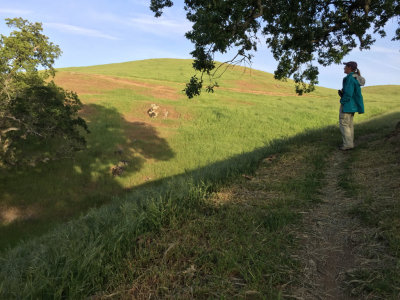 Ginger on the trail
