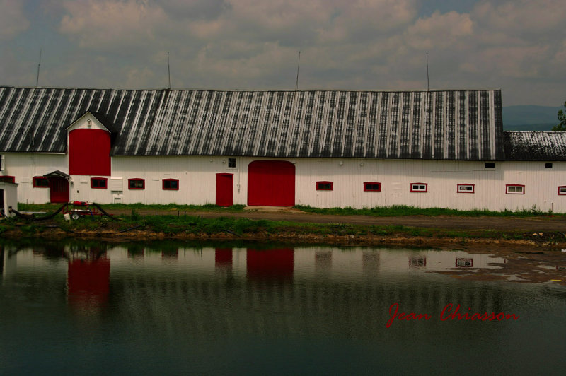 le dOrlans Farm