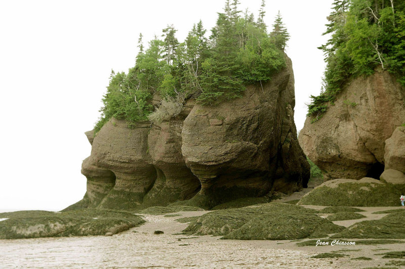Hopewell Rocks - Rochers Hopewell Bay of Fundy