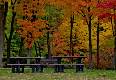 Picnic  en Couleurs