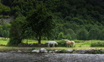 orgeix3-sk.JPG