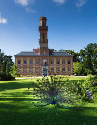 tarbes9-sk.JPG