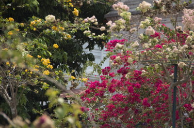 kerala