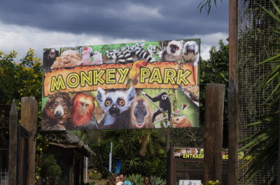 monkeypark1-sk.JPG