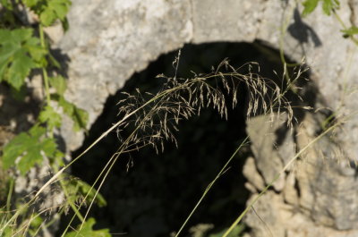 argassi-oldchapel-4-sk.JPG