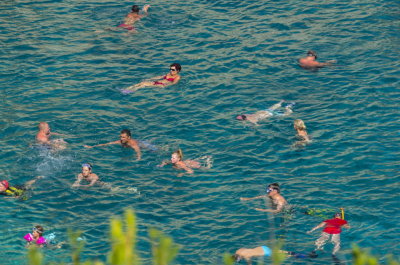 limnionas-bay1-sk.JPG