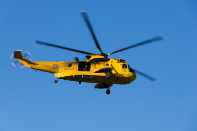 seaking2-sk.jpg