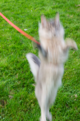 shadow-oct20-9-60thsecond.jpg