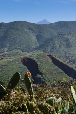 teno-alto4-sk.JPG