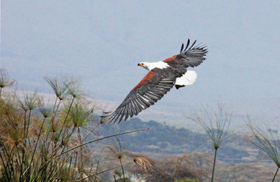 IMG_7479B.jpg