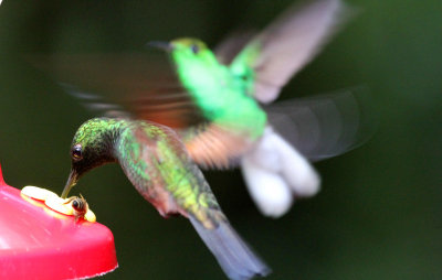 IMG_6758B.jpg