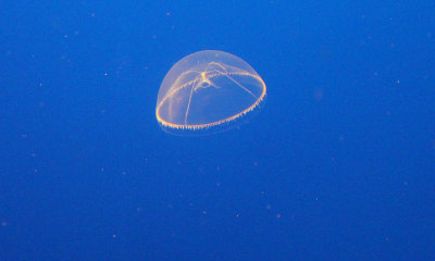 IMG_7098B.jpg