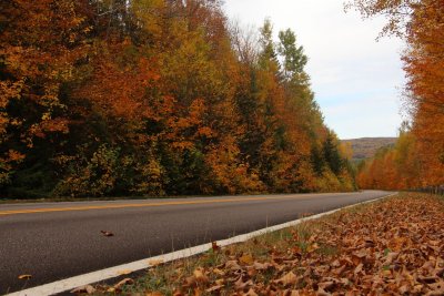 Parc de la Mauricie