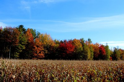IMG_9362.JPG