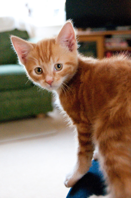DSC_6338.jpg