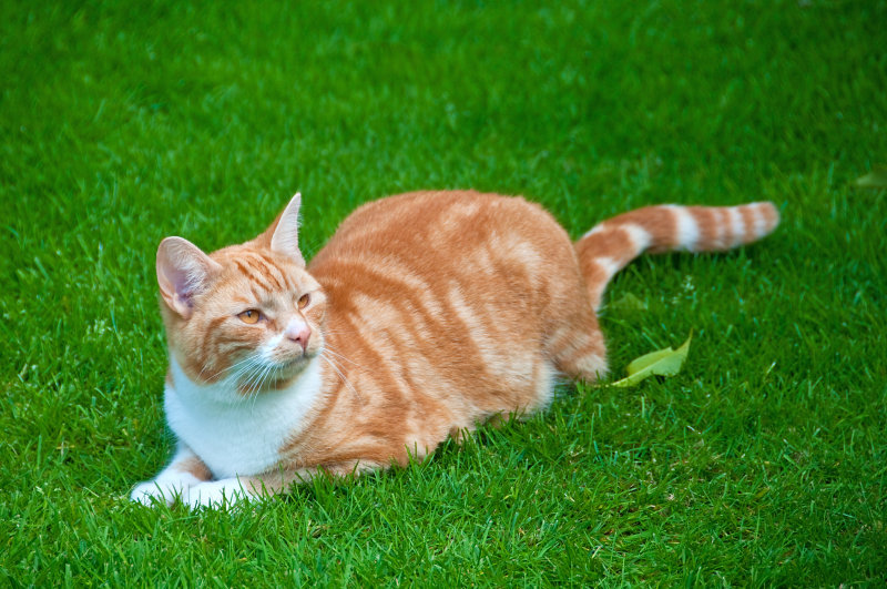 DSC_2097.jpg