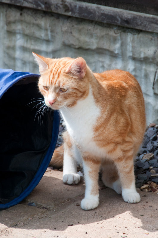 DSC_2311.jpg
