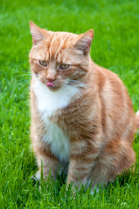 DSC_4369.jpg